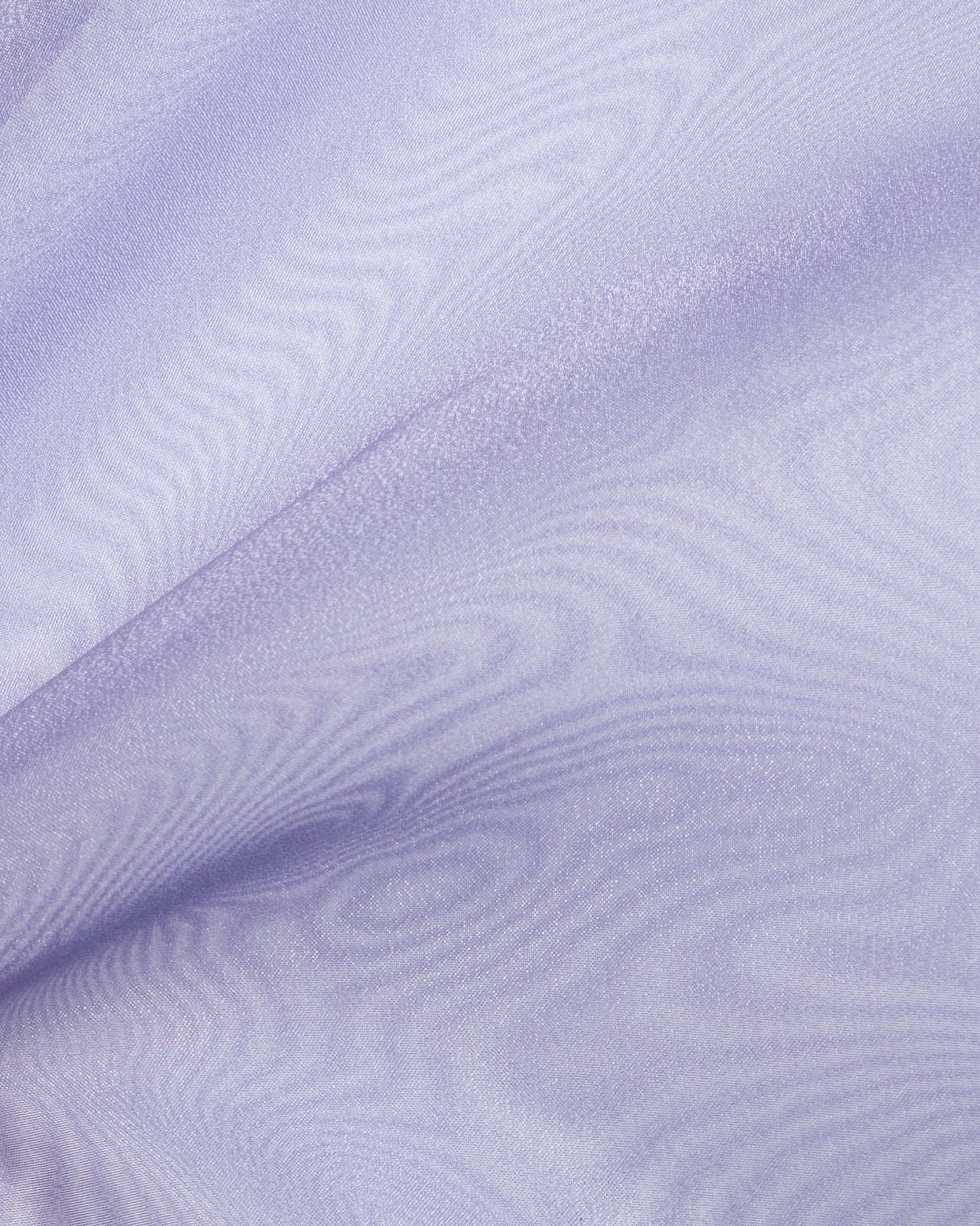 Organza pants